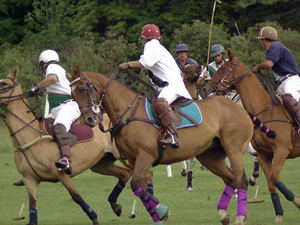 Lundberg-Polo-Quechee